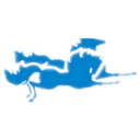 四川双马