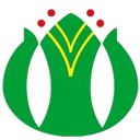 文科股份